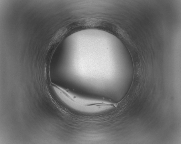 X0000054390685200508270034