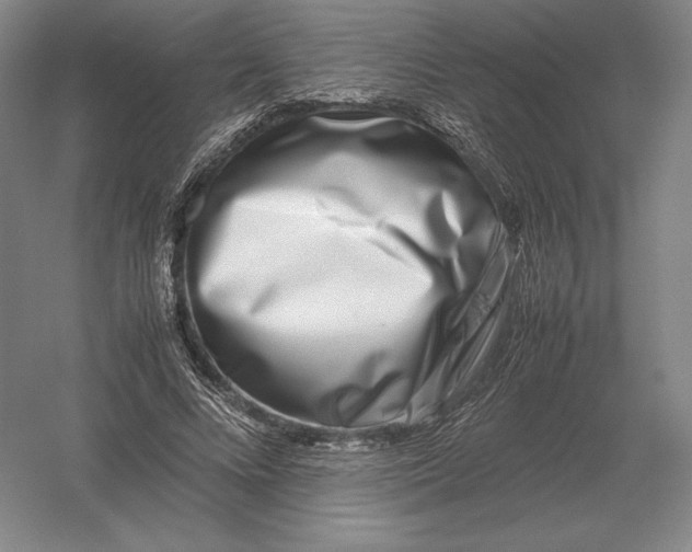 X0000054390688200508270034