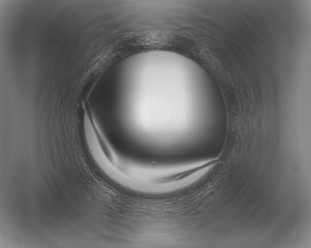 X0000054390689200508270034