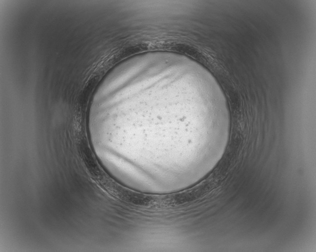 X0000054390691200508270034