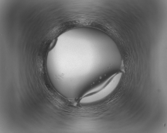 X0000054390693200508270034