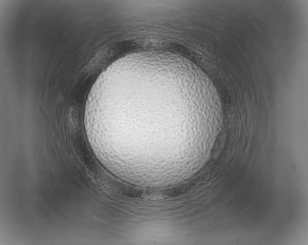 X0000054390695200508270034