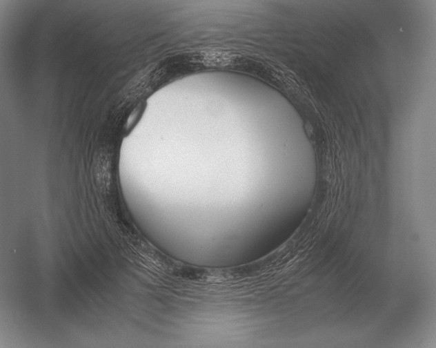 X0000054390697200508270034
