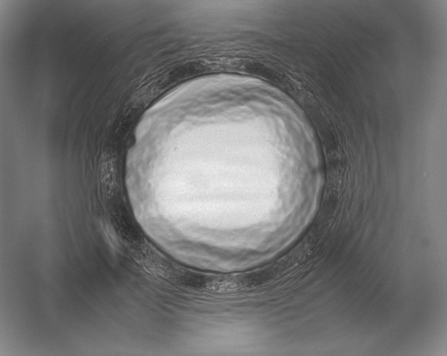 X0000054390699200508270034