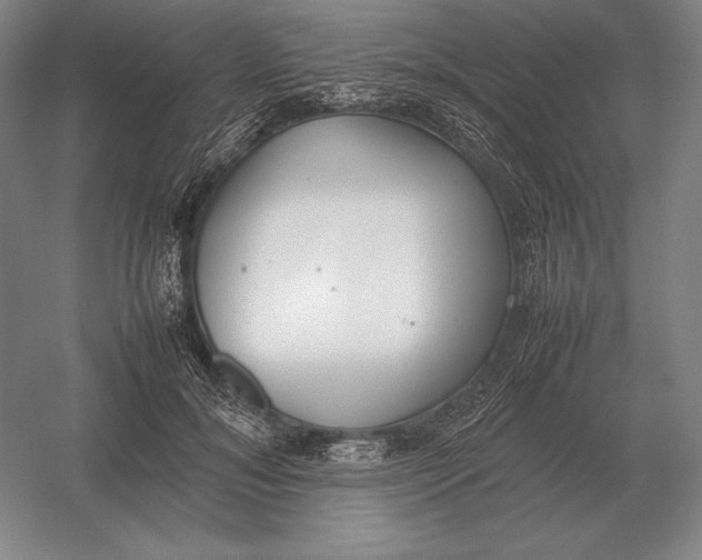 X0000054390700200508270034