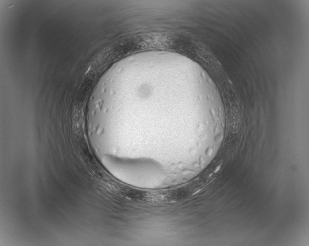 X0000054390701200508270034