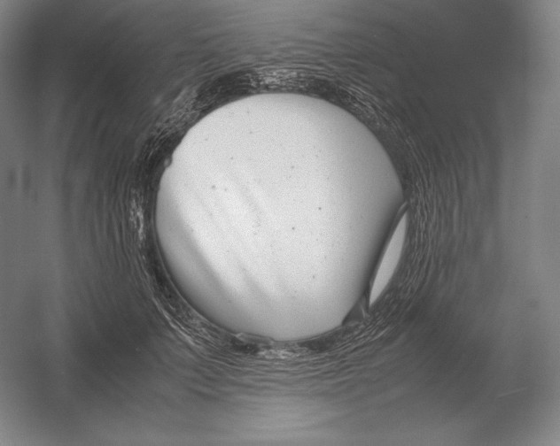 X0000054390703200508270034