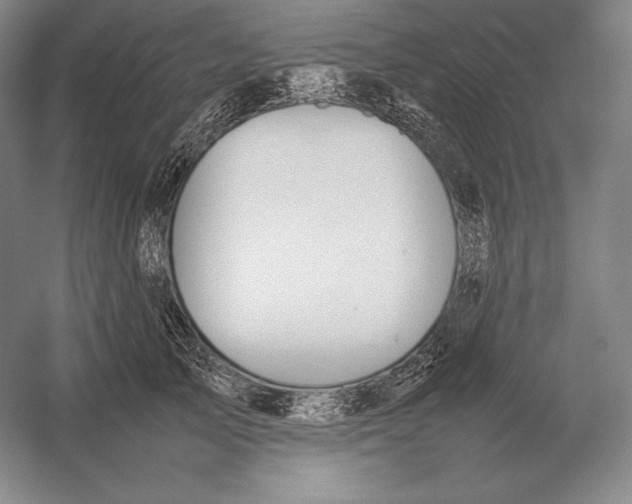 X0000054390705200508270034