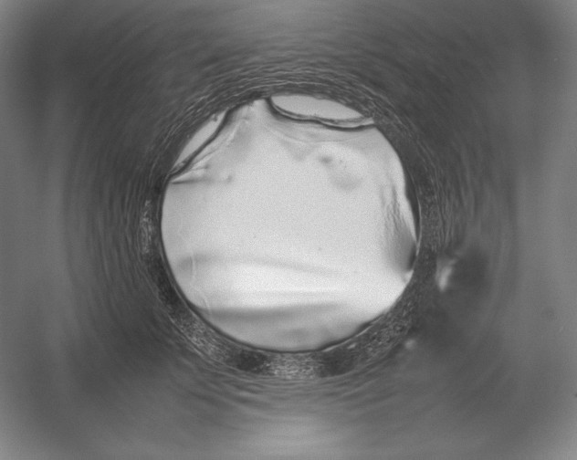 X0000054390707200508270034