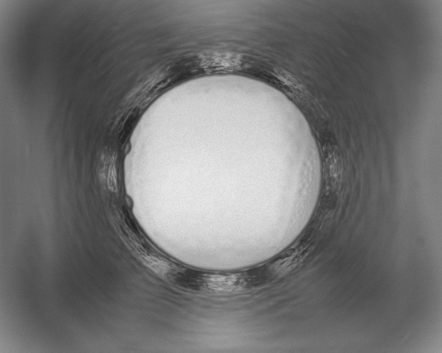 X0000054390709200508270034