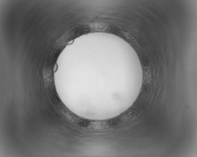 X0000054390713200508270034