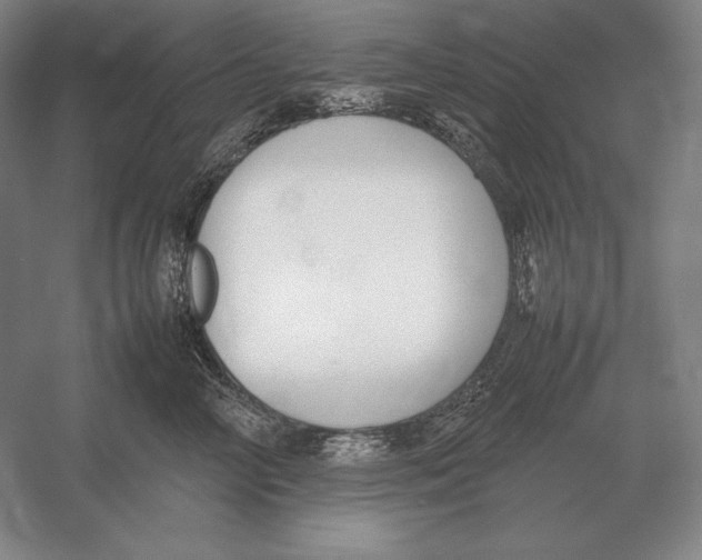 X0000054390714200508270034