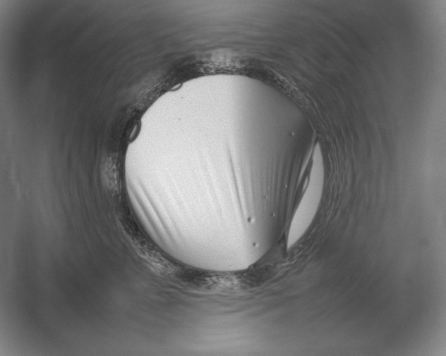 X0000054390715200508270034