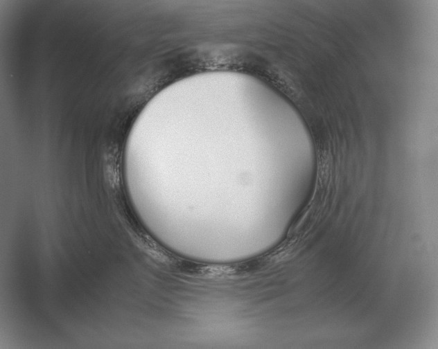 X0000054390719200508270034