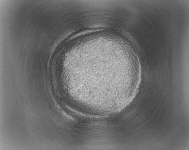 X0000054390721200508270033