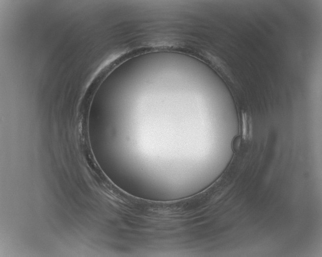 X0000054390723200508270033