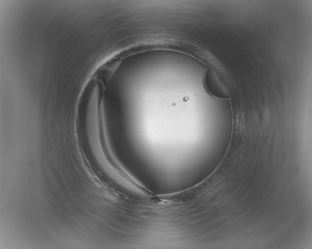 X0000054390724200508270033