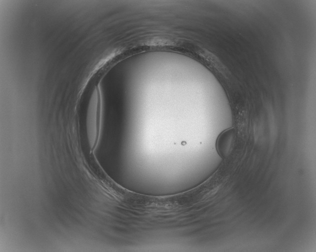 X0000054390727200508270033