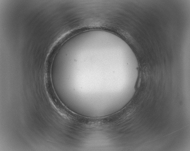 X0000054390728200508270033