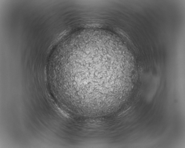X0000054390729200508270033