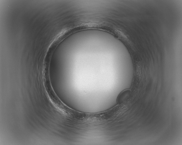 X0000054390730200508270033
