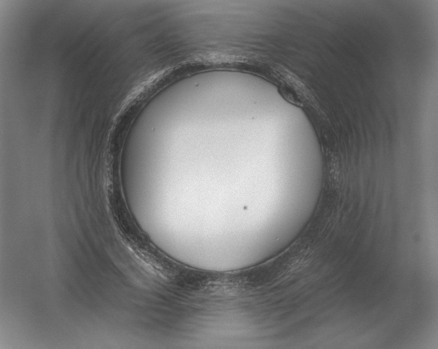 X0000054390732200508270033