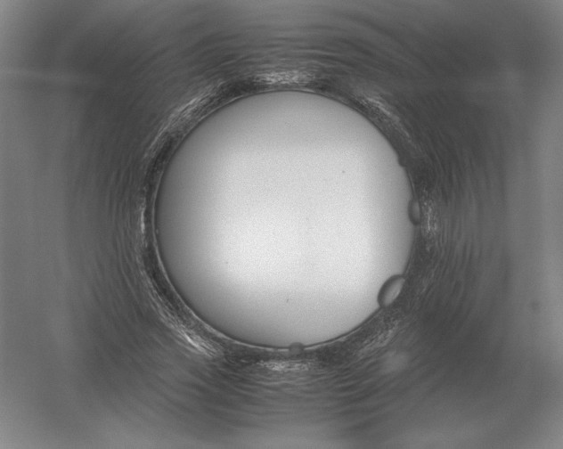 X0000054390733200508270033