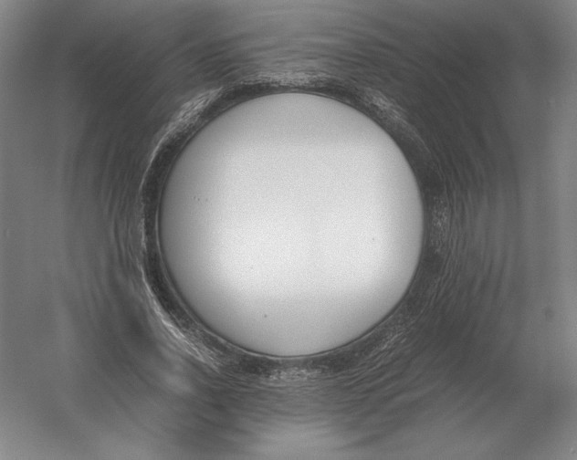 X0000054390734200508270033