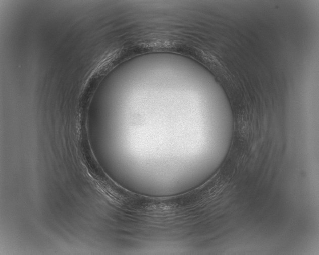 X0000054390735200508270033