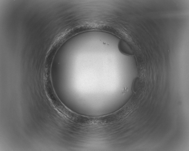 X0000054390736200508270033