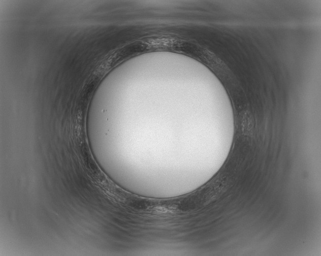 X0000054390737200508270033