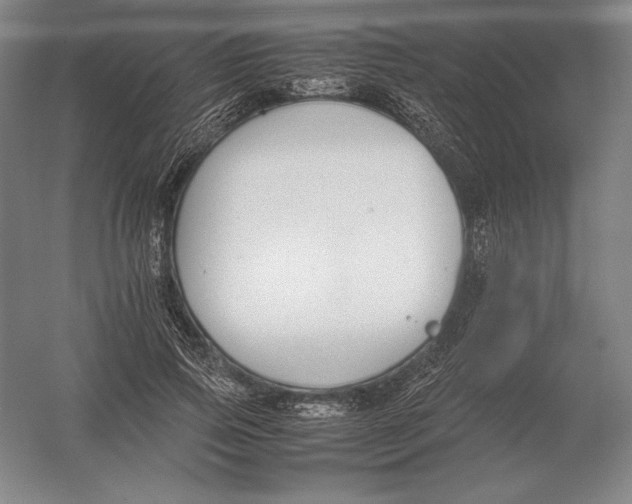 X0000054390741200508270033