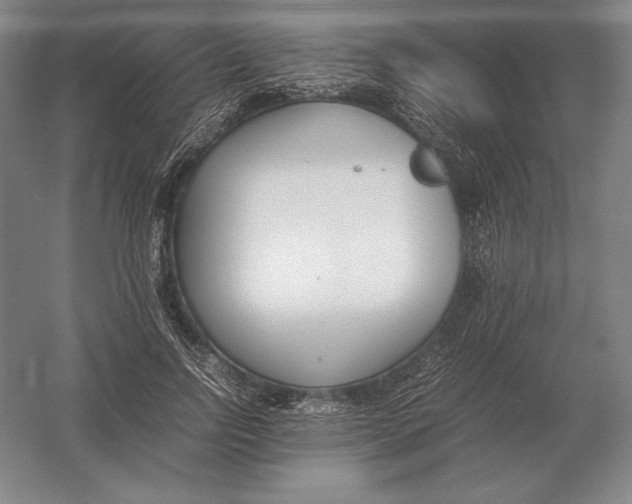 X0000054390742200508270033