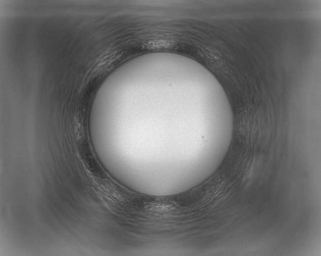 X0000054390743200508270033