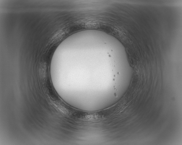 X0000054390744200508270033