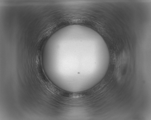 X0000054390746200508270033