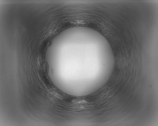 X0000054390747200508270033