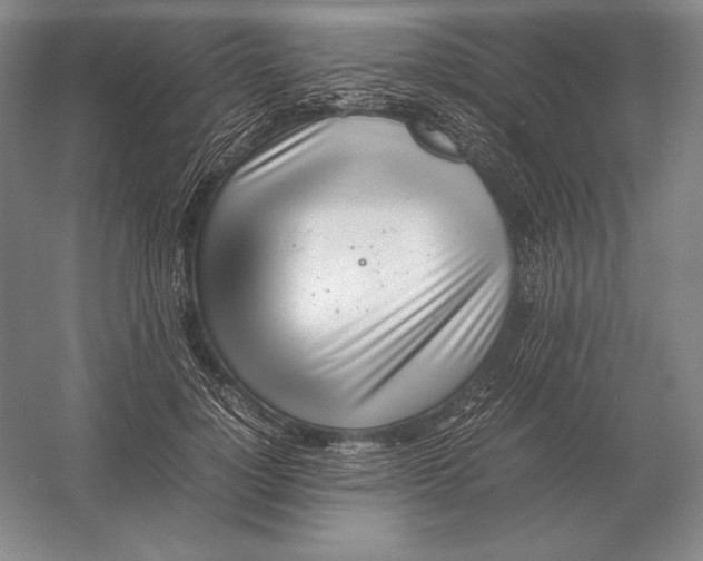 X0000054390748200508270033