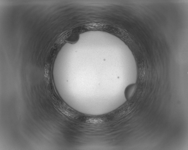 X0000054390749200508270033