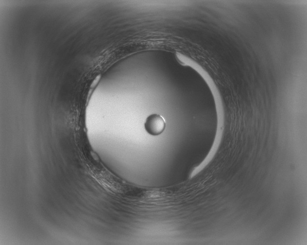 X0000054390750200508270033
