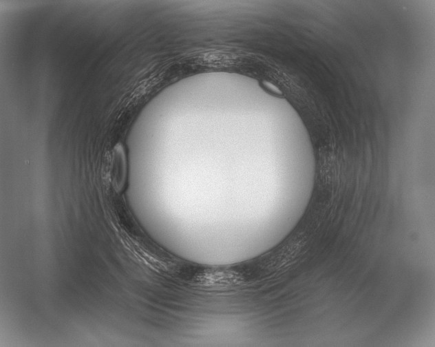 X0000054390752200508270033