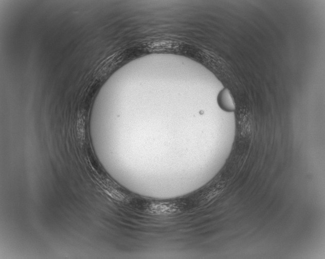X0000054390753200508270033