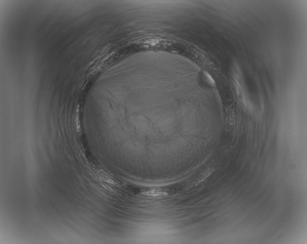 X0000054390754200508270033