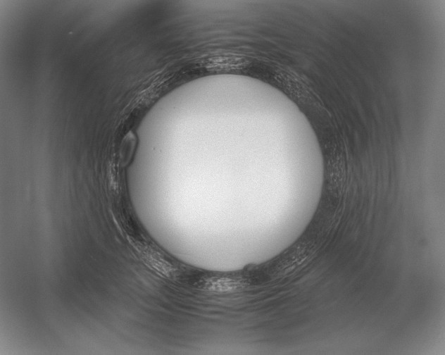 X0000054390755200508270033