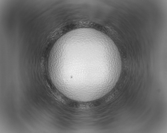 X0000054390757200508270033