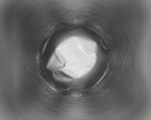 X0000054390760200508270034