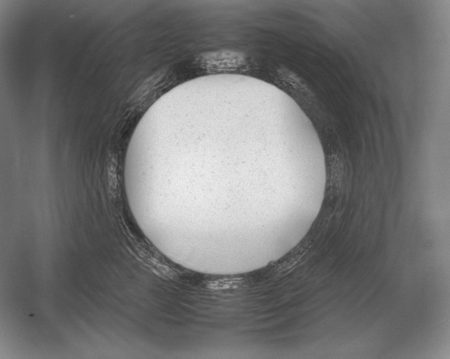 X0000054390761200508270034