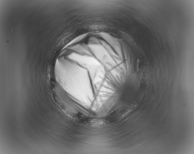 X0000054390762200508270034