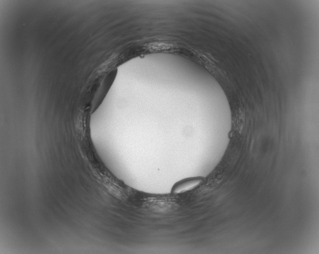 X0000054390763200508270034