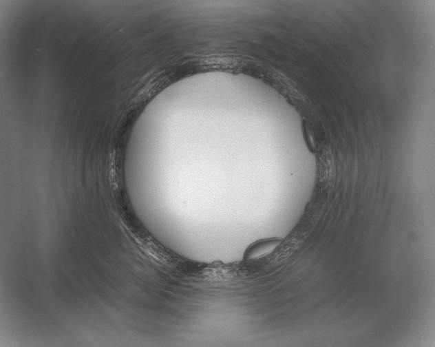 X0000054390764200508270034